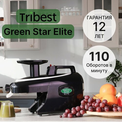 Соковыжималка Tribest Green Star Elite GSE-6000, черный