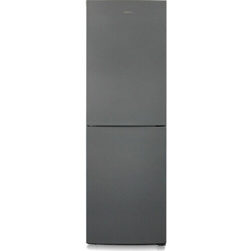 Холодильник Бирюса W6031